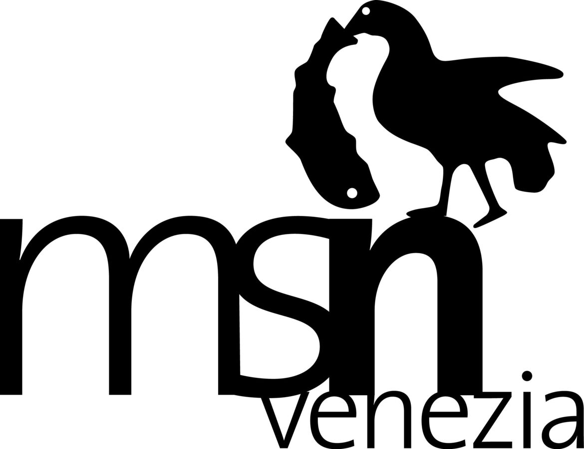Msn Venezia